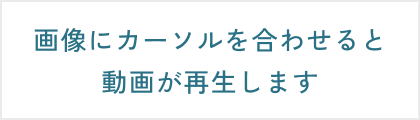 画像にカーソルを合わせると動画が再生します