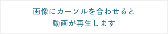 画像にカーソルを合わせると動画が再生します